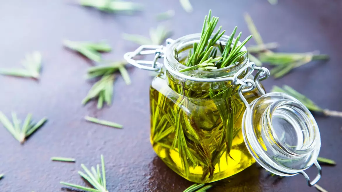 Why massaging rosemary oil can be beneficial for hair loss
