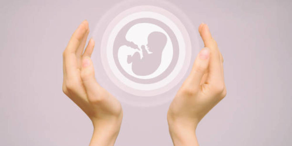 Unlocking Fertility:  The Female Hormone Panel Test